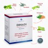 DINADI 21 90 CAPSULAS