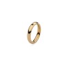 Anillo Qudo básico dorado