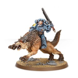 Space Wolves Thunderwolf Cavalry